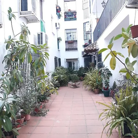 Pleno Centro Wallada